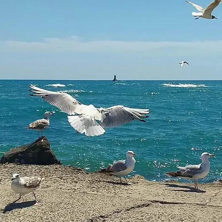 бриз 1 Apartmán